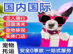 阆中古城机场托运国际宠物托运 【国
